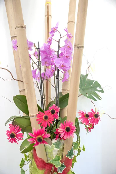 Pokojová dekorace s bambusovými proutky, phalaenopsis, červené květy a — Stock fotografie