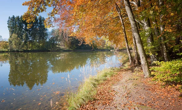 Caminho a pé outonal ao longo da lagoa idílica — Fotografia de Stock