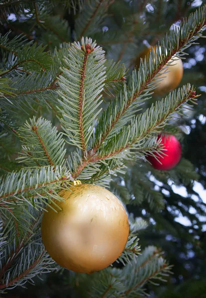 Fir branch with christmas baubles — Stock Photo, Image