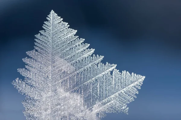Macro de cristal de hielo sobre fondo azul suave. cada copo de nieve —  Fotos de Stock