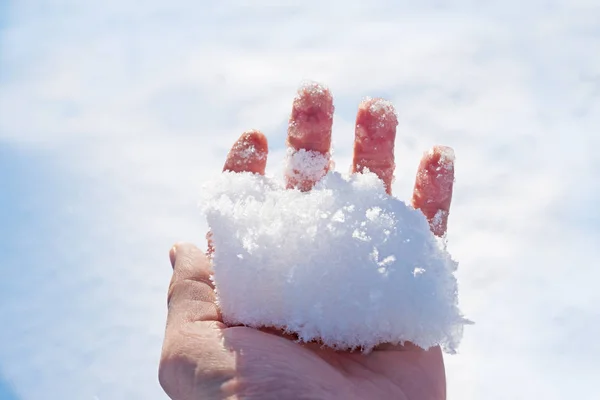 Női kéz, gazdaság egy maroknyi friss hó csupasz ujjaival — Stock Fotó