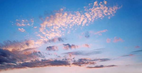 Heldere blauwe hemel met roze verlichte wollige wolken in de morni — Stockfoto