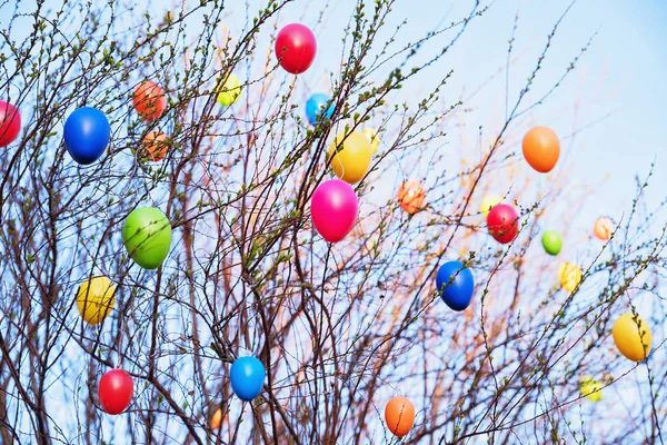 Hanging colorful easter eggs on a bush — Stock Photo, Image