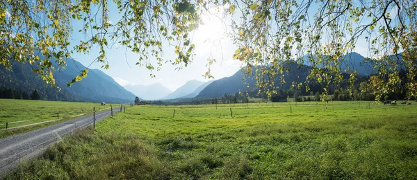 Meadowland no vale de loisach, bela paisagem de primavera baviera — Fotografia de Stock