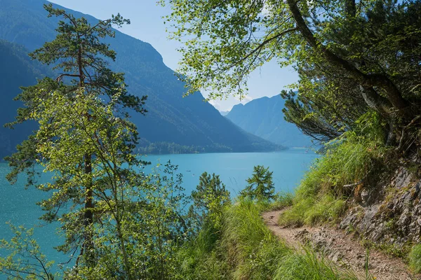 Wanderweg am Seeufer des Achensees, Österreichischer Frühlingspfad — Stockfoto