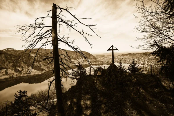 Mystic scenery at ruin hohenwaldeck with scary tree — Stock Photo, Image