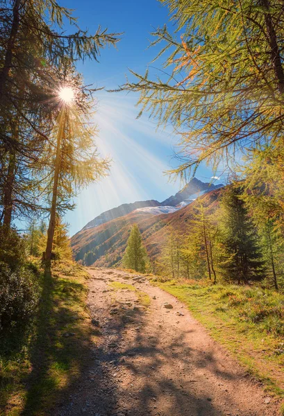 Hiking trail in the swiss alps — Stock Photo, Image