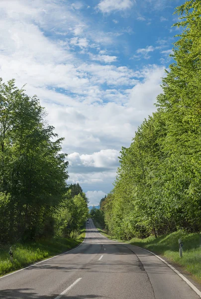 Дорога через зеленый лес — стоковое фото