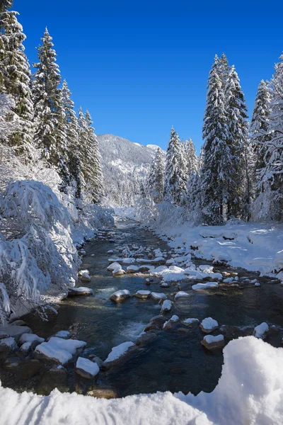 Winterwunderland - schneebedeckter Fluss — Stockfoto