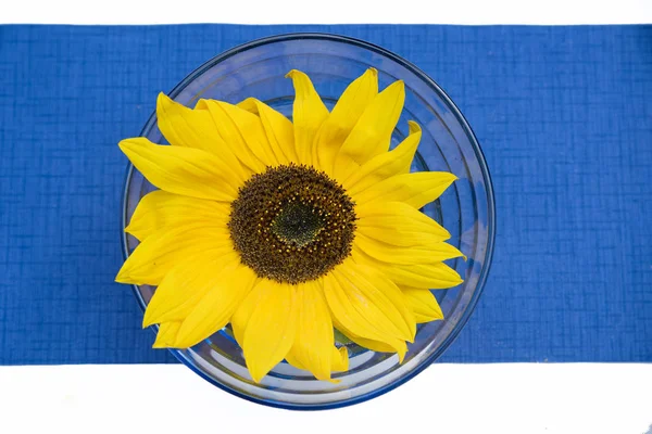 Table decoration with small sunflower — Stock Photo, Image