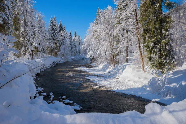 Besneeuwd winterlandschap Weissach rivier bij Kreuth, bavariaanse Alpen — Stockfoto