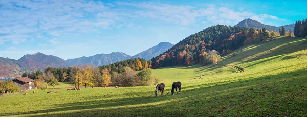 Paisagem rural acima lago tegernsee, vista para a montanha wallberg — Fotografia de Stock