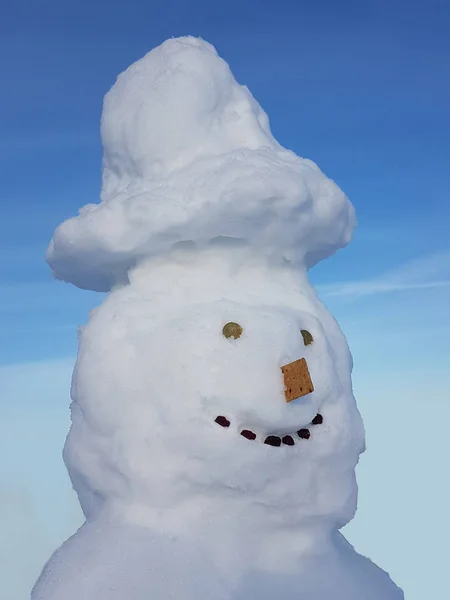 Cabeza de un muñeco de nieve divertido contra el cielo azul —  Fotos de Stock