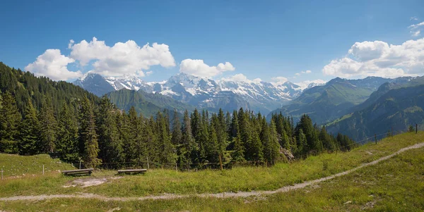 Célèbre chaîne de montagnes Eiger Monch et Jungfrau, vue de Schyni — Photo