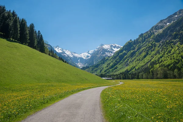 Idyllisk gångväg från Oberstdorf till byn Spielmannsau, trettac — Stockfoto