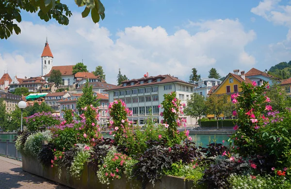 Pots de fleurs en fleurs au bord de la rivière aare, la vieille ville thun en s — Photo