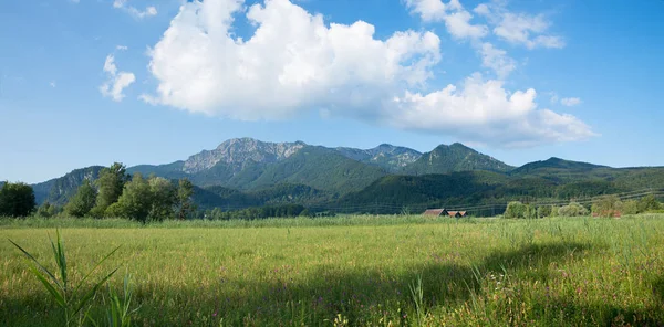 Paysage de lande près de schlehdorf, avec vue sur herzogstand mountai — Photo