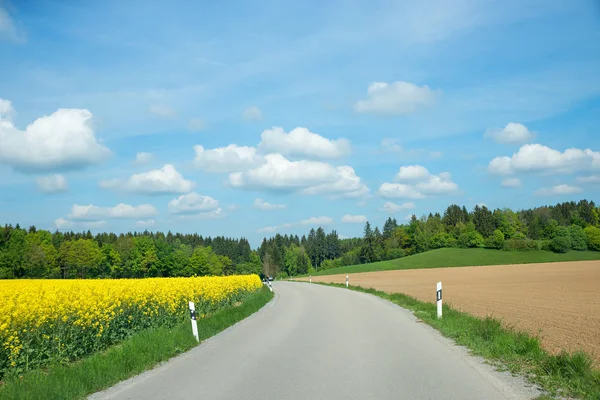 Strada di campagna attraverso il paesaggio rurale, campo di colza e arato ac — Foto Stock
