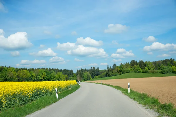 Estrada rural através da paisagem rural, canola campo e arado ac — Fotografia de Stock