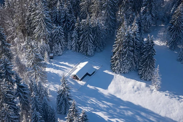 Flygfoto över en snöbunden hydda vid en glänta i vinterbåset — Stockfoto