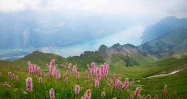 view from Brienzer Rothorn mountain to the valley and lake Brien clipart