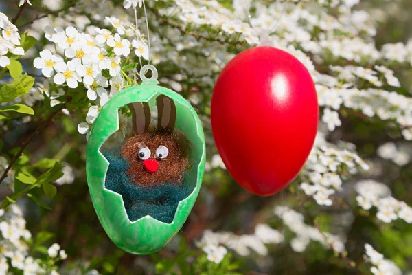 Easter bunny in a plastic egg with cut out. blooming spiraea bus — Stock Photo, Image