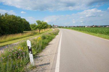 Yol boyunca kır çiçekleriyle ve bisikletle arı dostu tarla, çevre bilinci kavramı