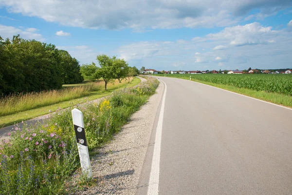 道路や自転車道に沿って野生の花と蜂に優しいプランテーション 環境に配慮した概念 — ストック写真