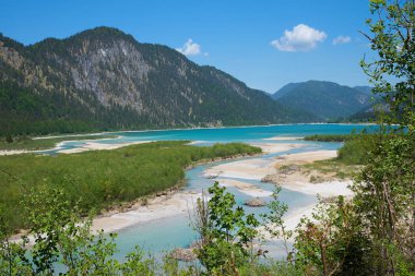 isar nehri Sylvenstein Gölü 'ne akar, Bavyera manzarası. Almanya 'da yaz manzarası