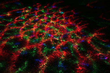 Çimenler üzerinde renkli ışık boyama efekti, canlı renklerle öncülük edilen yaratıcı fotoğraf deneyi. 