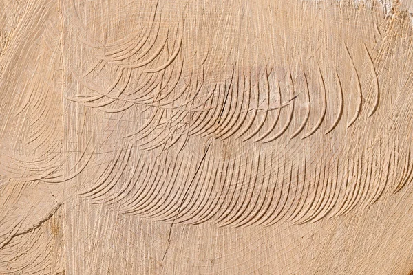 Természetes Fából Készült Világos Barna Háttér Barázdált Szerkezet Egy Láncfűrész — Stock Fotó