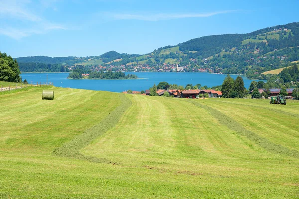 View Lake Schliersee Health Resort Neuhaus Beautiful Bavarian Landscape Hay — Stock Photo, Image