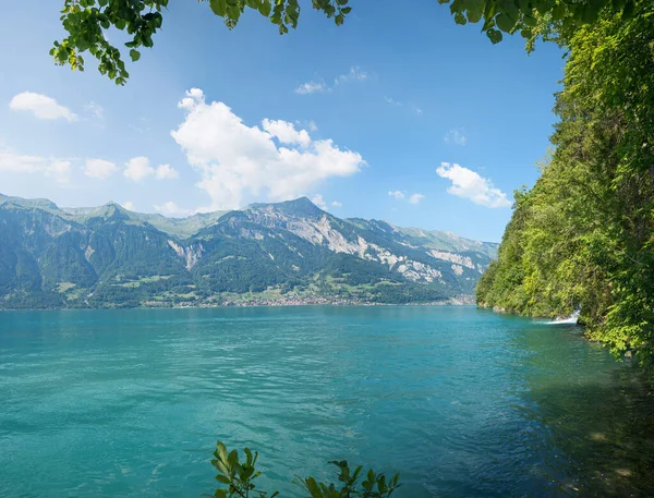 Bellissimo Lago Brienzersee Dal Lungolago Giessbach Vista Attraverso Rami Verdi — Foto Stock