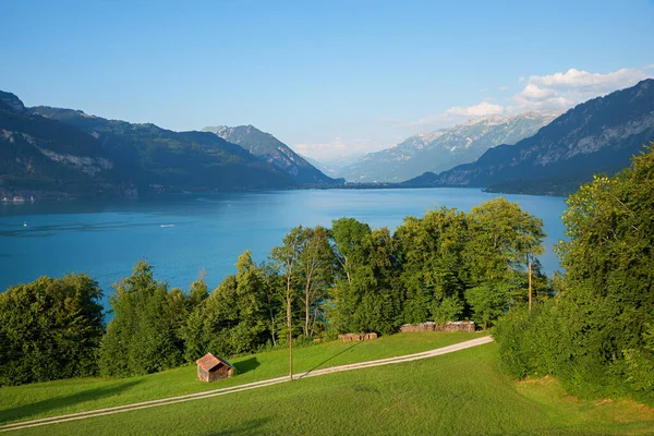 Beau Paysage Suisse Vue Sur Lac Tonnerre Pour Entrelacer Arbres — Photo