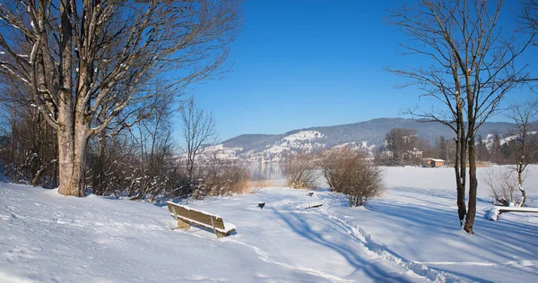 Krajobraz Zimowy Obszar Schliersee Ławką Drzewami Górna Bawaria Błękitne Niebo — Zdjęcie stockowe