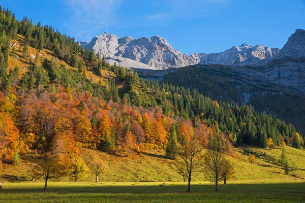 Красивый Пейзаж Карвенделя Осенним Горным Лесом Австрийские Туристические Направления — стоковое фото