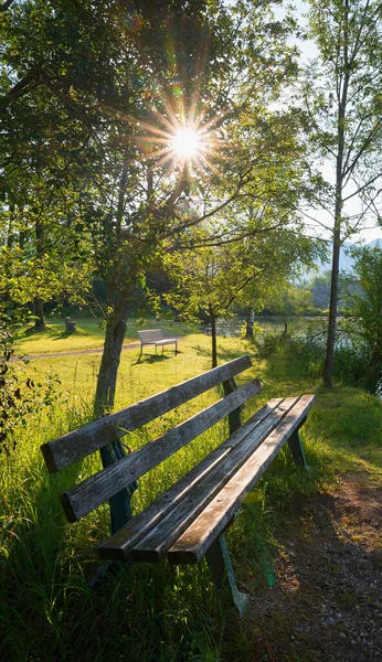 木製のベンチと明るい日差し緑の風景 — ストック写真