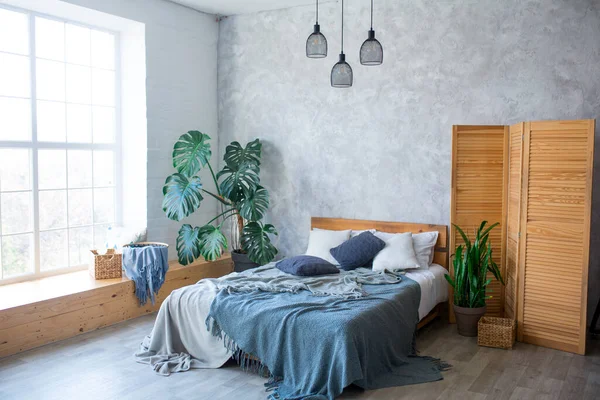 Espace chambre confortable dans un studio de luxe avec une disposition libre dans un style loft avec grande fenêtre panoramique et plante verte . — Photo