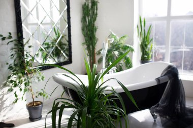 Lüks malikanede büyük pencereli modern siyah beyaz banyo.