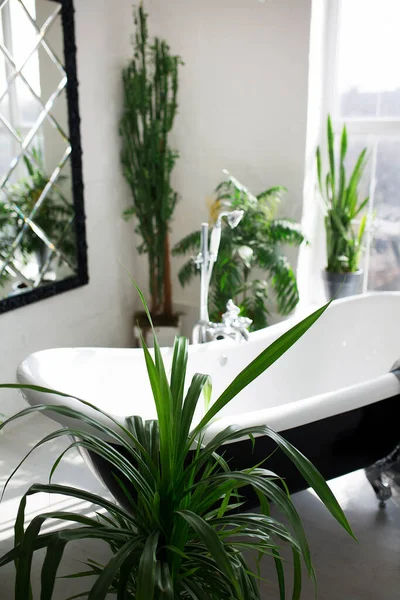Esclusivo bagno moderno in bianco e nero interno in villa di lusso con grande finestra — Foto Stock