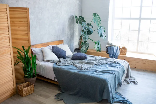 Espace chambre confortable dans un studio de luxe avec une disposition libre dans un style loft avec grande fenêtre panoramique et plante verte . — Photo