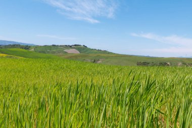 Tipik Tuscany manzara bahar