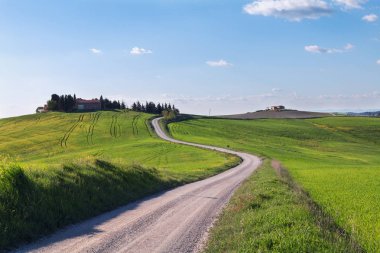 Tipik Tuscany Peyzaj ve yol, Bahar yeşil tepeler