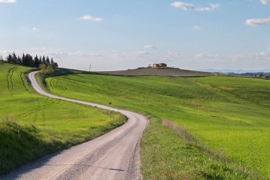 Tipik Tuscany Peyzaj ve yol, Bahar yeşil tepeler