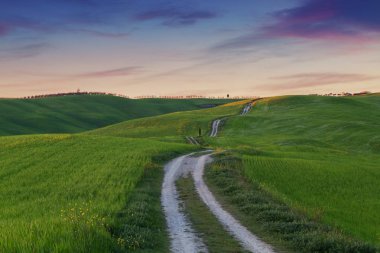 Tipik Tuscany manzara, yeşil tepeler bahar gün batımında