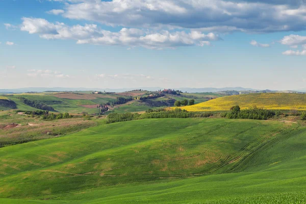 Typische toskanische Landschaft, grüne Hügel im Frühling — Stockfoto