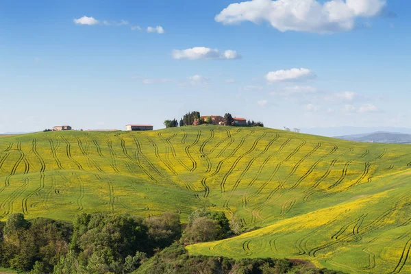 Typische toskanische Landschaft, grüne Hügel im Frühling — Stockfoto