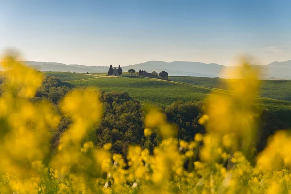 Toskana-Landschaft auf dem Hügel mit einer kleinen Kapelle der Madonna d — Stockfoto