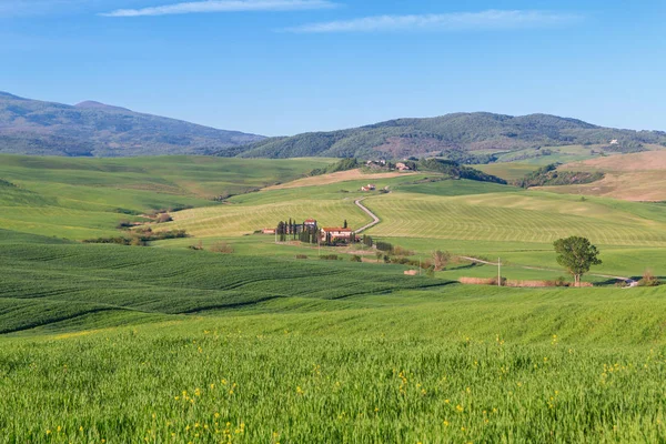 Typische toskanische Landschaft, grüne Hügel im Frühling — Stockfoto