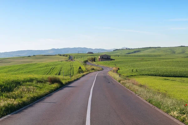 Tipik Tuscany Peyzaj ve yol bahar